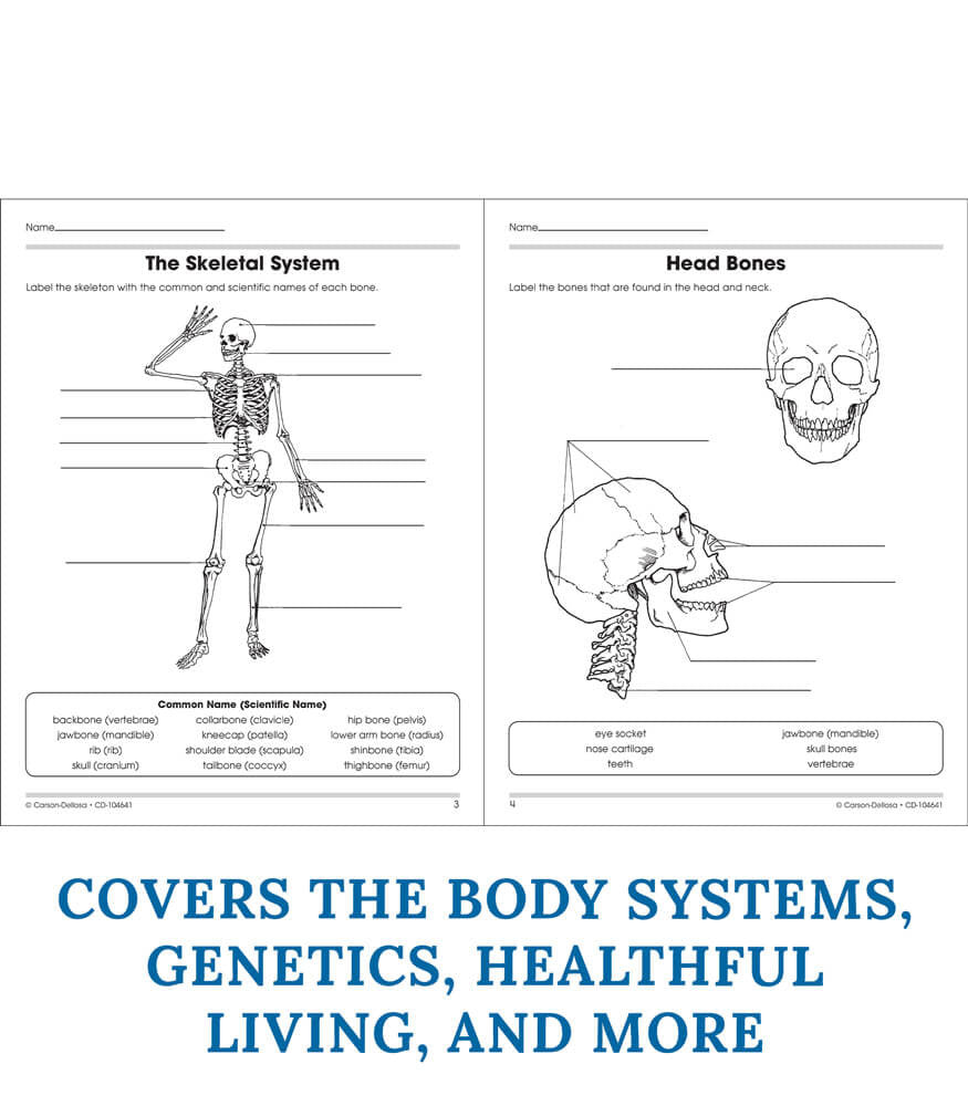 Human Body Workbook Grade 5-8 Paperback