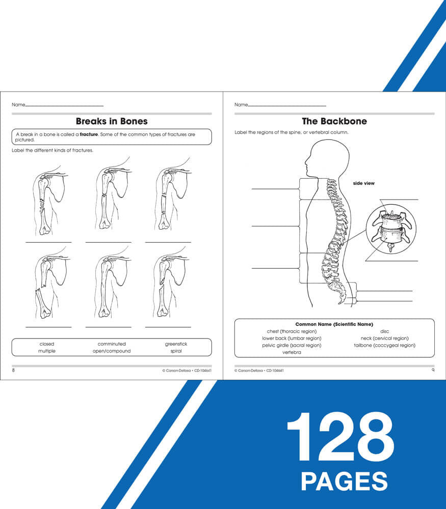 Human Body Workbook Grade 5-8 Paperback